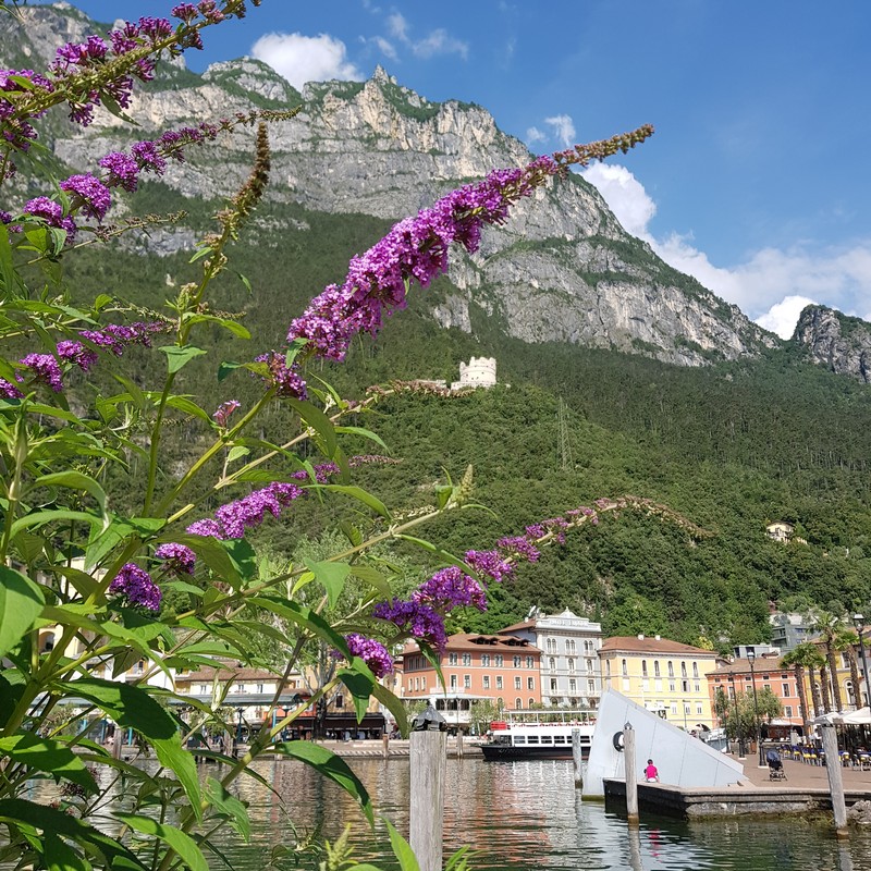 Albergo Ristorante Rolly | I dintorni